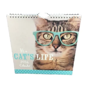 Manufacturer Printed Hardcover Paper Wall Calendar with Spiral Binding and Hanging Hook, Monthly