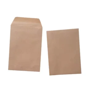 Manufacturers Custom Printed Kraft Paper Mailing Packaging Envelope