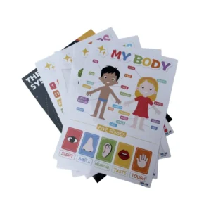 Manufactures Custom Colorful Printing Coloring Poster for Preschoolers