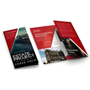 Multi size A4 A5 Custom Paper Bi Fold Geometric Business Chart Startup Company Profile Brochure