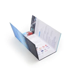 Multicolor Accordion Brochure Flyer Printing Service Supplier Digital Flyer Catalog