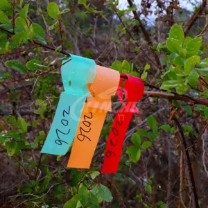 Multicolor Garden Waterproof Hanging Plant Labels Tree Tags UV Resistant PVC High Heat for Fruit Vegetables