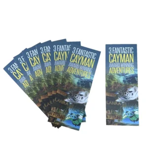 OEM Custom Design Printed Guidebook Brochures Flyers Folded Leaflet