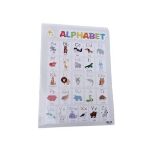 OEM Custom Educational Learning Chart Posters for After-School Use