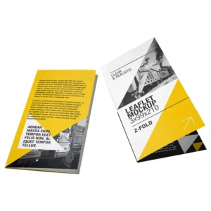 OEM Custom Flyers Brochure Printing Service Tri Fold Leaflet Postcard with Art Paper Cardboard