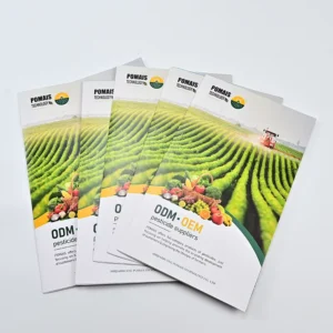OEM Custom Full-Color Offset Brochure and Catalog Printing on Art/Coated Paper, Logo Design Service