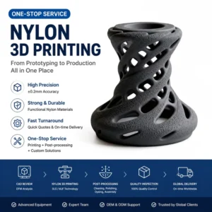 OEM High Quality 3D Printing Service for Custom Plastic Nylon Prototypes STL Files 0.2%mm Tolerances