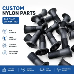 OEM High Quality 3D Printing Service for Custom Plastic Nylon Prototypes STL Files Medical Automotive 0.2%mm