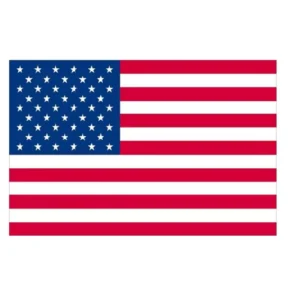 OEM Manufacturer Custom Printed Polyester 3x5ft Flag Banner with Logo