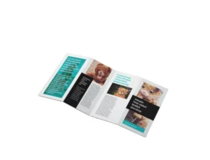 OEM Printing Service A2 A3 A4 A5 A6 Glossy Flyer Tri-Fold/Bi-Fold Leaflets Booklet Brochure Flyer for Advertising Promotion