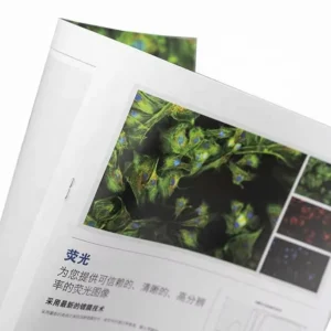 Offset Printed Flyer, Leaflet, Catalogue, or Booklet, Cardboard Brochure, Paper Material
