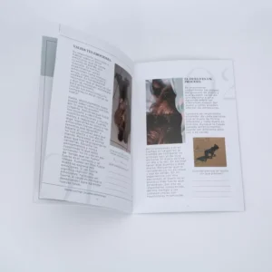 Offset Printed Flyers Leaflet Catalogue Brochure Magazine with Offset Paper and Cardboard