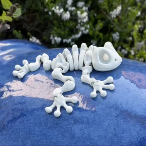 PLA 3D Printed Movable Skeleton Frog Customizable FDM Print Service