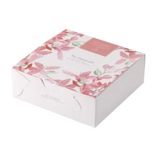 Paper Butterfly Box Packaging