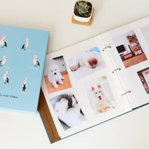 Paper-Cover DIY 4 x 6-Inch Self-Adhesive Photo Album