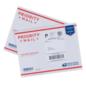Postal Express Paper Bag Envelope with Self-Seal Closure and Cardboard Packaging
