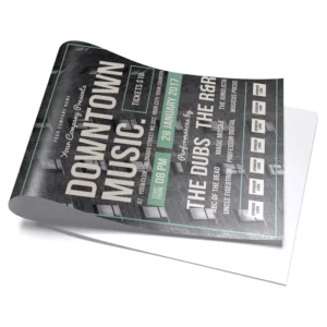 Poster Printing Factory Custom Waterproof Outdoor PVC Vinyl Offset 3D Poster Digital Printing Custom