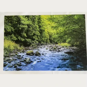 Premium Wall Art Poster CMYK Full-Color Printing