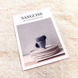 Printed Saddle Stitch Soft Cover Book Magazine Brochure Full Color CMYK Film Lamination Paper