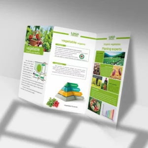 Printing Manufacturer Custom Flyers Booklets Brochures Full Color Printing