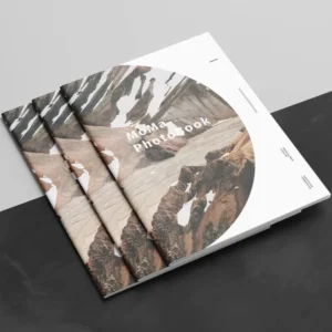 Printing Service Saddle Stitch Product Booklet Brochure Book Catalog Catalogue