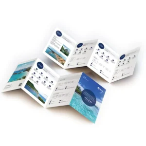 Professional Free Design Low Cost Full Color Brochure Cardboard Art Paper Offset Printed Packaging & Printing Services