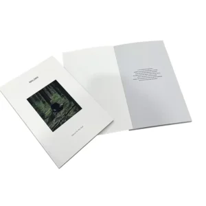 Professional Luxury Full Color Offset Printing Custom Size Design Catalog Brochure Booklet Magazine Printing
