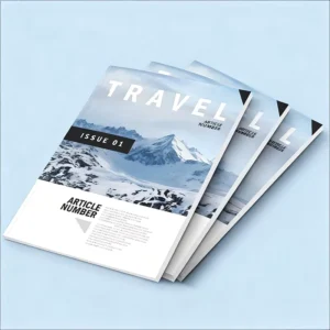 Promotion Color Catalog Printing Company Catalogue Gold Hot Foil Stamp Digital A4 Catalogue Printing Brochure Printing