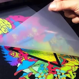Ready-to-Press DTF Transfer Stickers and Heat Transfer Logo Labels for T-Shirts
