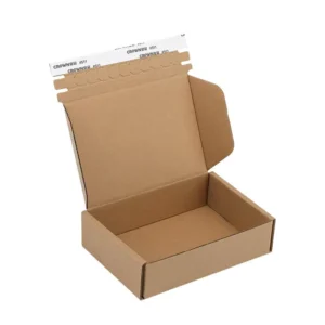 Recyclable Biodegradable Corrugated Kraft Paper Mailer Box for Clothing