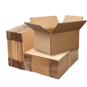 Recyclable Corrugated Cardboard Shipping Box for Mailing and Moving