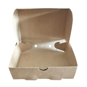 Recyclable Kraft Cardboard Auto-Lock Mailer Box Unprinted Blank Aircraft-Style Gift Box