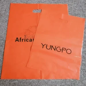 Recyclable PE Plastic Shopping Bags with Logo Printing and Heat Seal for Clothing Packaging