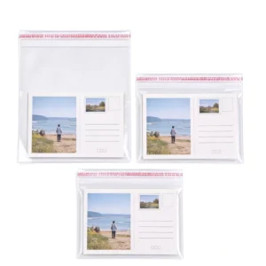 Reusable OPP BOPP Adhesive Bag with Gravure Printing, Custom Size, for Sugar and Chewing Gum Packaging