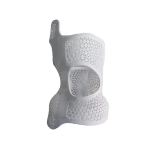 SLS Nylon 3D Printing Service Durable PA12 Parts High-Strength Prototypes MOQ 1 Pcs Surface Treatments Heat