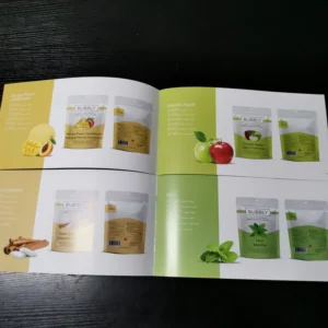 Saddle Stitched Customized Booklet Catalog Color Brochure Printing Film Lamination Offset Cardboard 4c+4c CMYK for A4 A5 A6