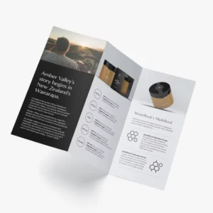 Sample Printed Custom Logo Business Trifold Product Brochure Flyer