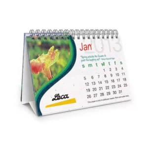 Seasons Eco Friendly Creative 100% Handmade Paper Standing Desk Calendar with Colorful Monthly Designs