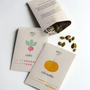Seed Series Retro INS Style Cross-Border Mini Envelopes Eco-Friendly Kraft Paper Bags 10x6cm Hangtags