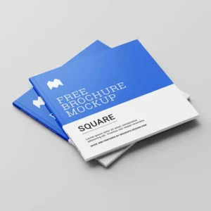 Soft Cover Business Brochure and Catalogue with Perfect Binding, Offset Paper, Matte or Glossy Lamination