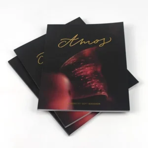 Softcover Magazine Brochure Book Print on Demand Hot-Stamp Film Lamination Art Paper Coated Paper Full Color Factory Printing