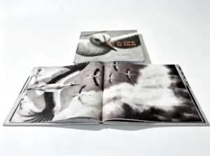 Stone Paper Hardcover Children’s Book Waterproof Tear-resistant Interactive Story Picture Book Printing