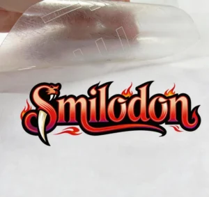 Sublimation Heat Transfer Stickers for Clothing PET Film Digital Printing Full Color HD Customization