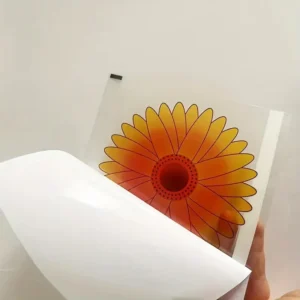 Sunflower Design Self Adhesive Indoor Window Sticker Fruit Fly Insect Sticky Strip Traps Pest Control Disposable Plastic