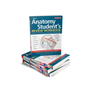 The Anatomy Student’s Review Workbook Custom Printing Small MOQ Sewing Perfect Bound Binding Textbook