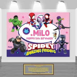 Themed Children’s Birthday Party Decorations Banner Backdrop Set, KT Board Digital Printing