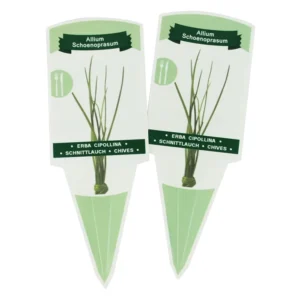 UV-Resistant Printed PP Plant Label ID Marker Stake for Garden Nursery