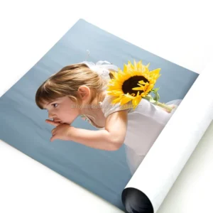 Waterproof Aqueous Matte Inkjet Cast-Coated Poster Photo Paper