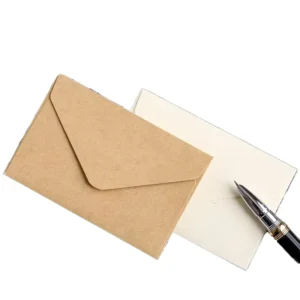 White Kraft Paper Rigid Catalog Mailer Envelope, Custom Printed, for Documents and Money